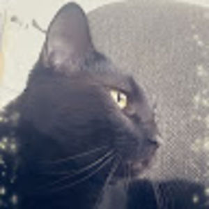 Meet your Posher, Meghan